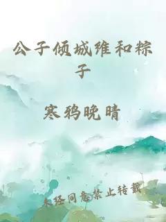 公子傾城維和粽子