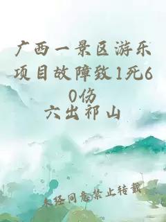 廣西一景區游樂(lè )項目故障致1死60傷