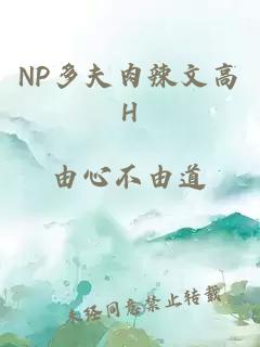NP多夫肉辣文高H