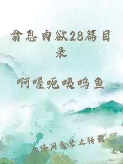 翁息肉欲28篇目錄