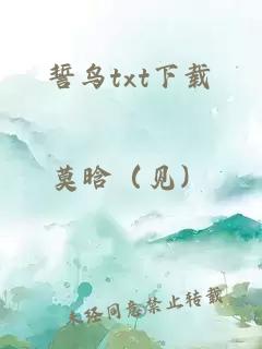 誓鳥(niǎo)txt下載