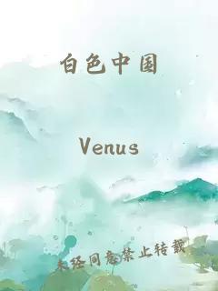 白色中國