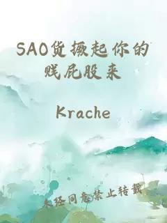 SAO貨撅起你的賤屁股來(lái)