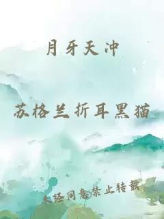月牙天沖