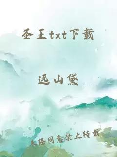 圣王txt下載