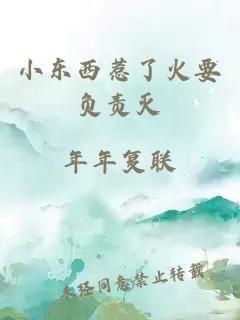 小東西惹了火要負責滅
