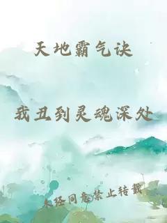 天地霸氣訣