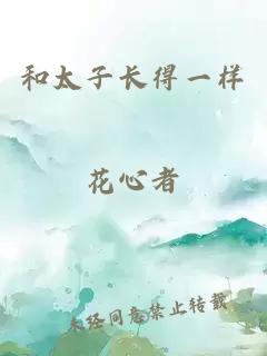 和太子長(cháng)得一樣