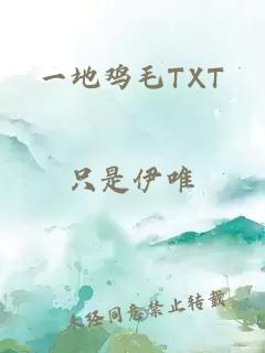 一地雞毛TXT