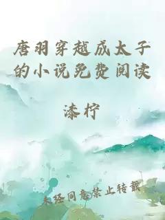 唐羽穿越成太子的小說(shuō)免費閱讀