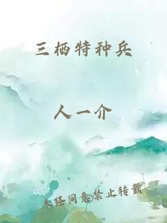 三棲特種兵