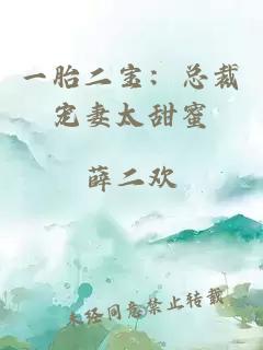 一胎二寶：總裁寵妻太甜蜜