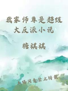 我家師尊是超級大反派小說(shuō)
