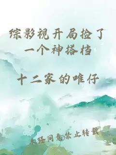 綜影視開(kāi)局撿了一個(gè)神搭檔