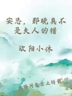 安總，那晚真不是夫人的錯