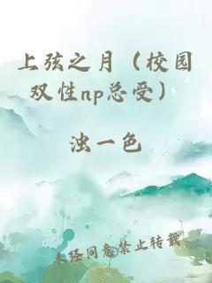 上弦之月（校園雙性np總受）