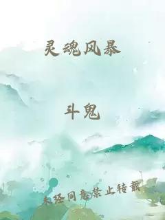 靈魂風(fēng)暴