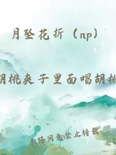 月墜花折（np）