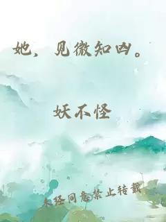 她，見(jiàn)微知兇。