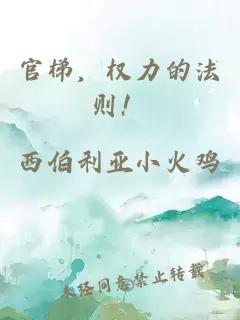 官梯，權力的法則！