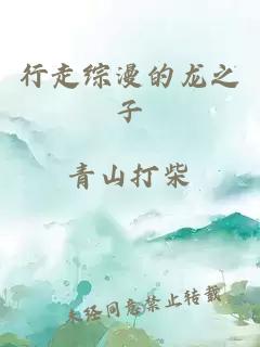 行走綜漫的龍之子