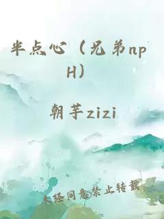半點(diǎn)心（兄弟np H）