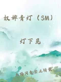 奴婢青燈（SM）