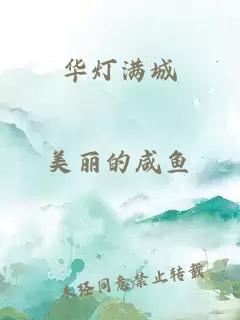 華燈滿(mǎn)城