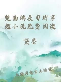 楚南璃夜司珩穿越小說(shuō)免費閱讀