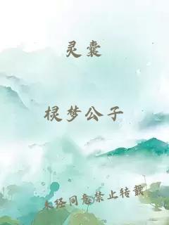 靈囊
