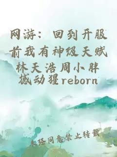 網(wǎng)游：回到開(kāi)服前我有神級天賦林天浩周小胖