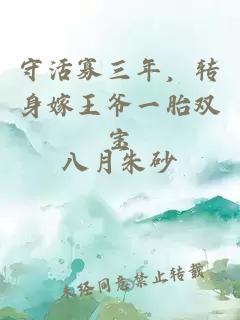守活寡三年，轉身嫁王爺一胎雙寶