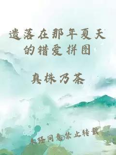 遺落在那年夏天的錯愛(ài)拼圖
