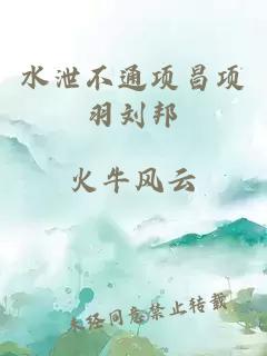 水泄不通項昌項羽劉邦