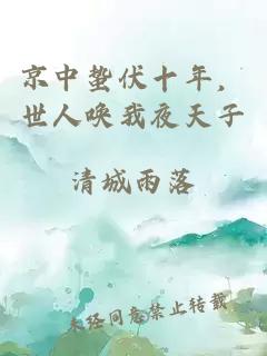 京中蟄伏十年，世人喚我夜天子
