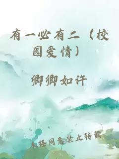 有一必有二（校園愛(ài)情）