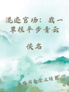 混跡官場(chǎng)：我一草根平步青云