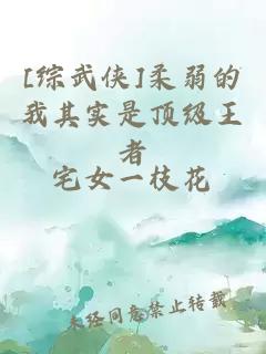 我的麥塊系統