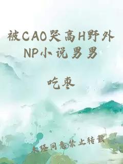 被CAO哭高H野外NP小說(shuō)男男