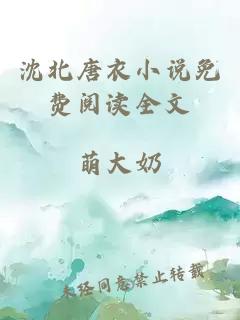 沈北唐衣小說(shuō)免費閱讀全文