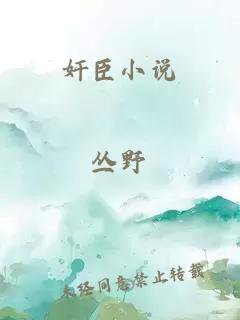 奸臣小說(shuō)