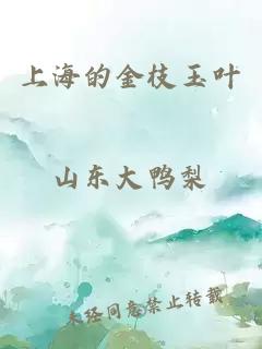 上海的金枝玉葉