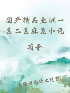 國產(chǎn)精品亞洲一區二區麻豆小說(shuō)