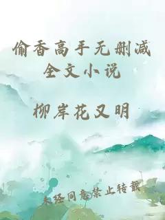 偷香高手無(wú)刪減全文小說(shuō)