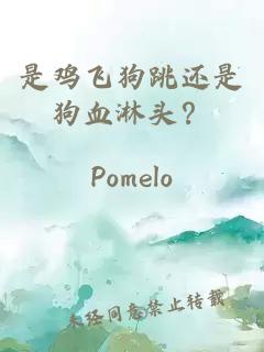 是雞飛狗跳還是狗血淋頭？
