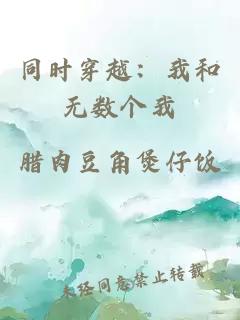 同時(shí)穿越：我和無(wú)數個(gè)我