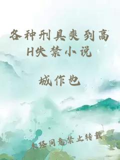 各種刑具爽到高H失禁小說(shuō)