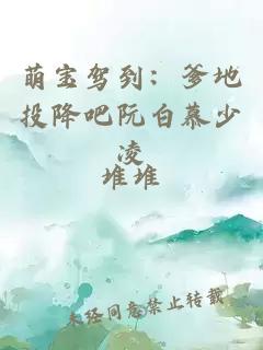 萌寶駕到：爹地投降吧阮白慕少凌