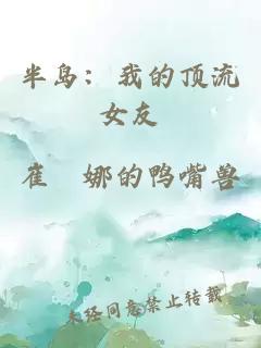 半島：我的頂流女友