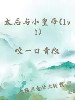 太后與小皇帝(1v1)